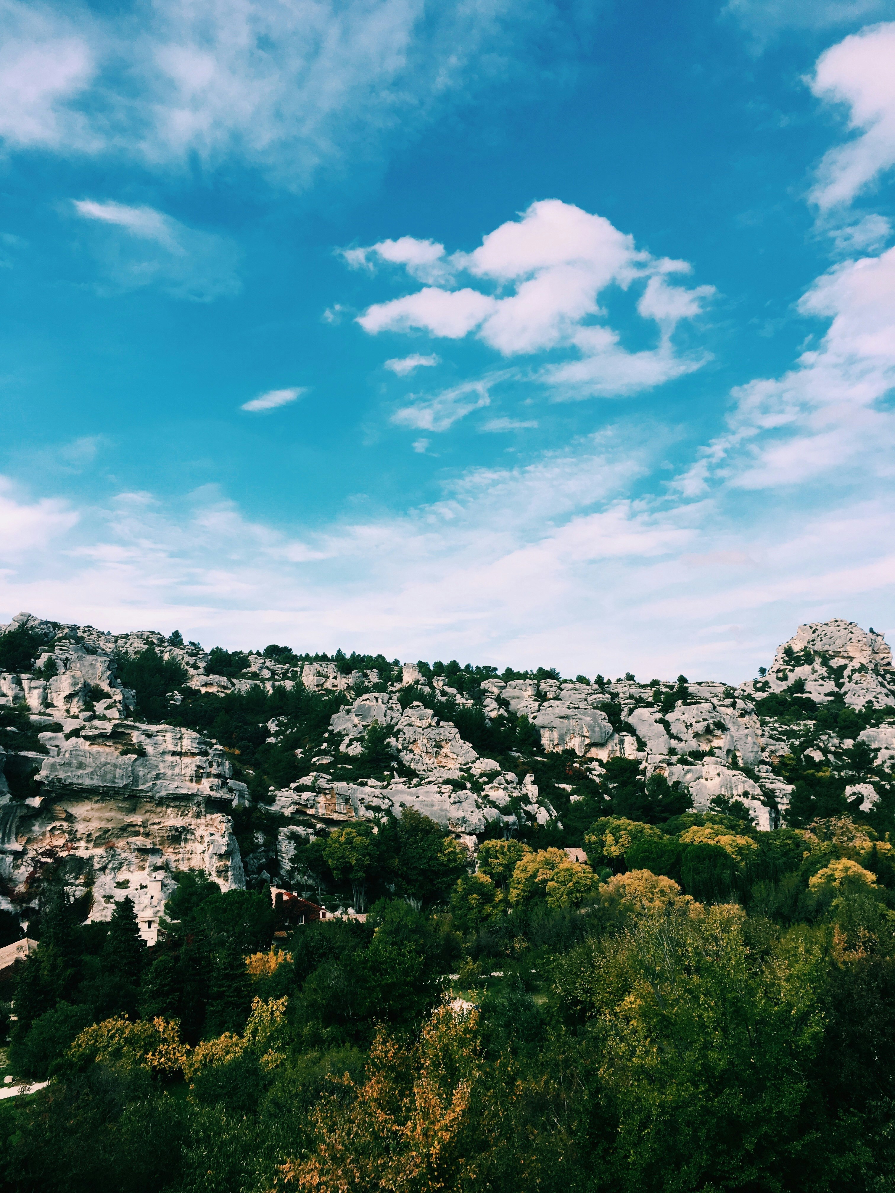 green trees beside cliff